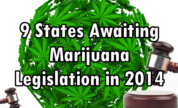 marijuana
