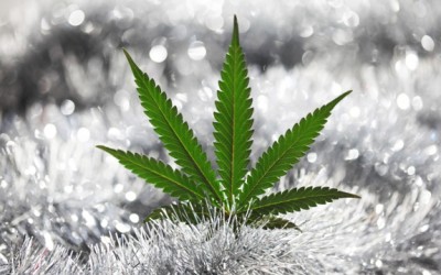marijuana