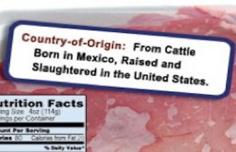 meat origins