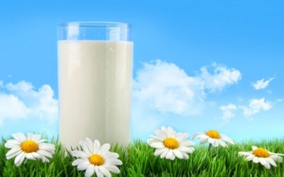 milk