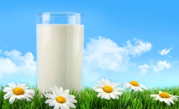 milk