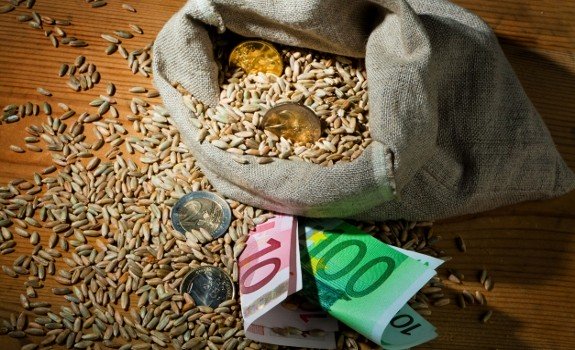 money crops