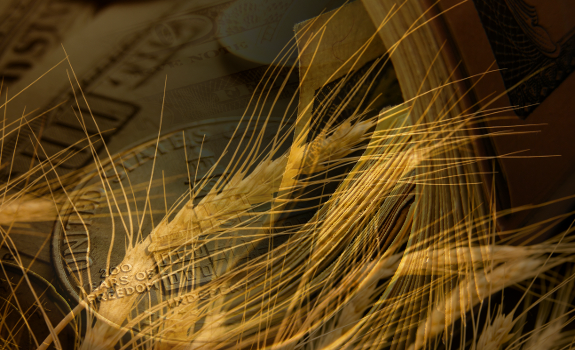 monsanto-taxpayer-cables