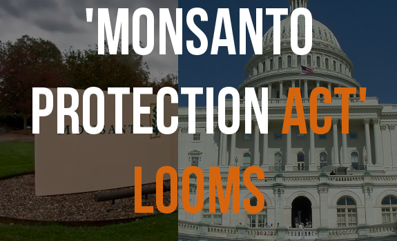 monsanto protection act
