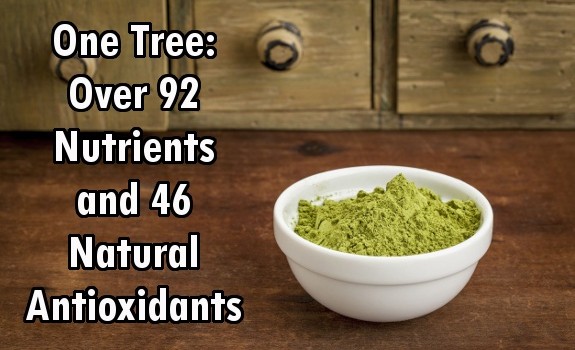 moringa leaf powder