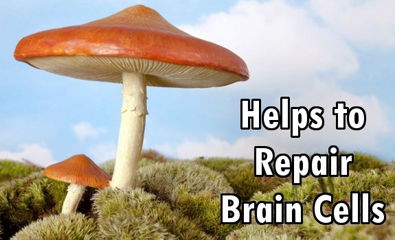 psychedelic mushroom