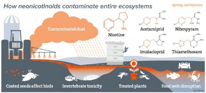 Source: Alternatives Journal