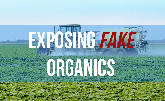 organic food certification