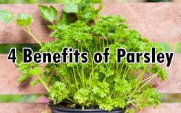 4 Benefits of Parsley: Detoxification, Immune Health, and More