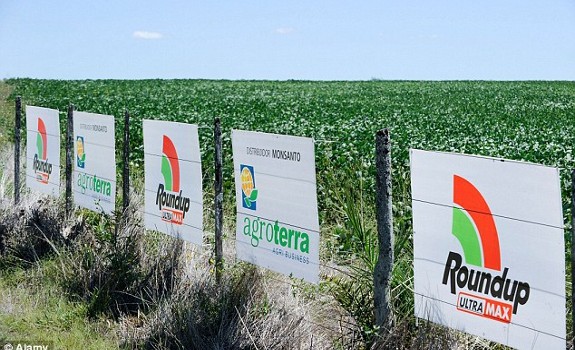 roundup