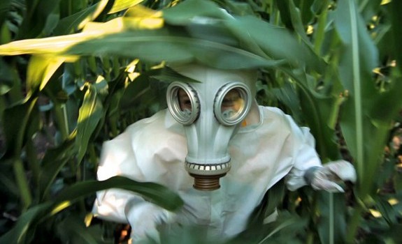 pesticide