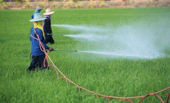 pesticide spraying
