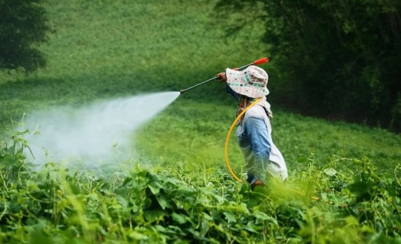 pesticide spray