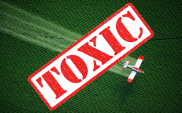 toxic pesticides