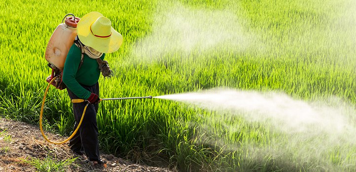 New Study: Pesticides a "Major Cause" of Infertility, Male Erectile
