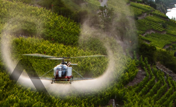 pesticides