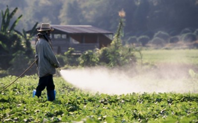 pesticide spray