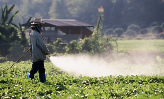 pesticide spray