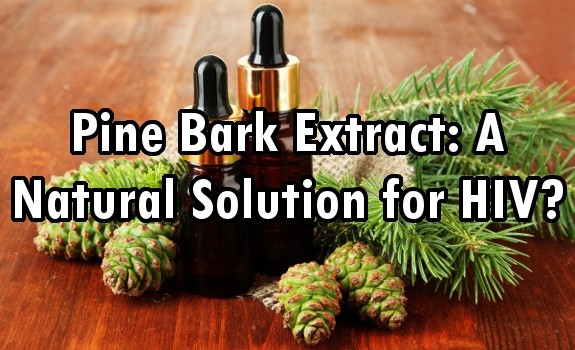 pine bark extract
