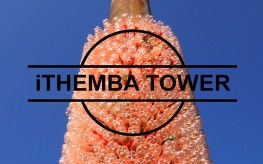iThemba Tower