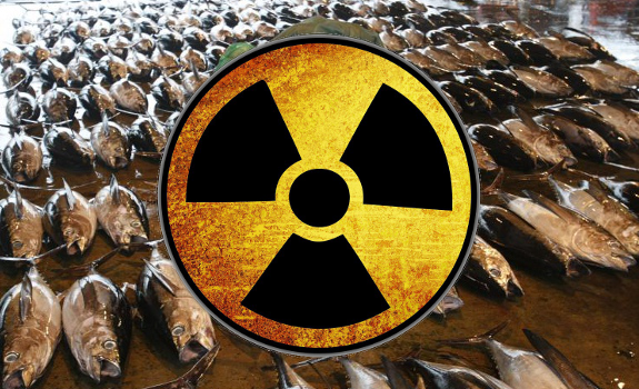 radiation tuna