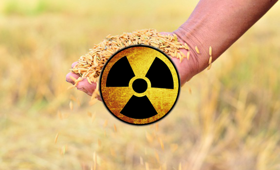 rice radiation