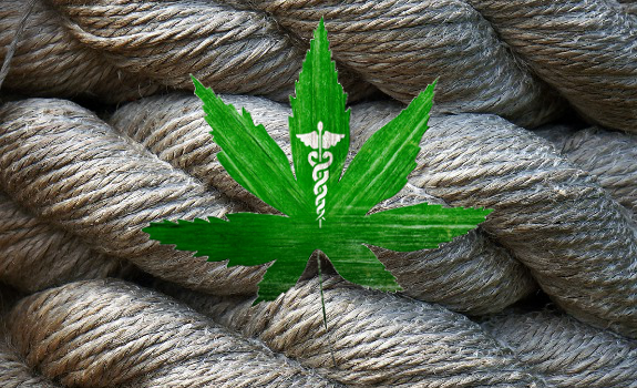 hemp