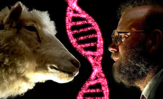 dolly, GMO animals