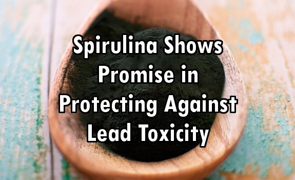 spirulina lead toxicity