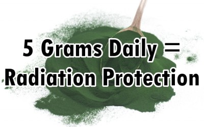 spirulina radiation