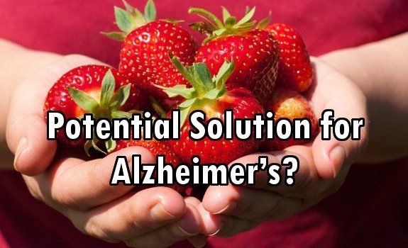 strawberries Alzheimer's