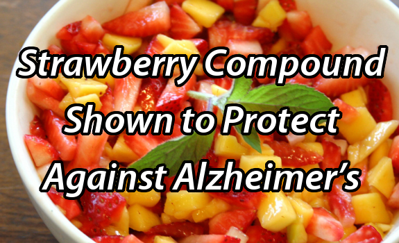 strawberry Alzheimer's