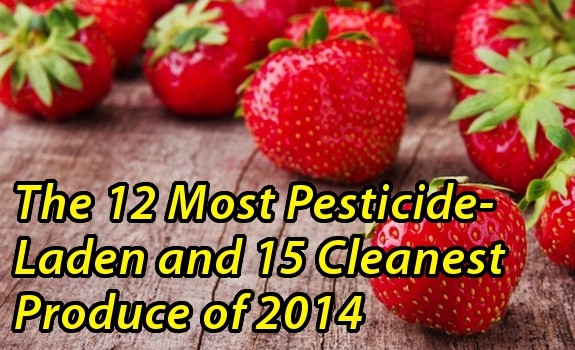 dirty dozen strawberries