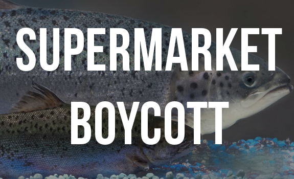 supermarket gm salmon