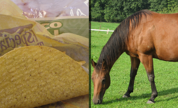 taco bell horsemeat