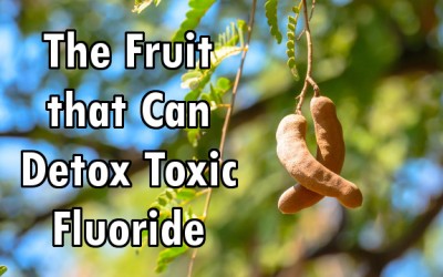 10 Tamarind Health Benefits: Detoxing Fluoride, Boosting Heart