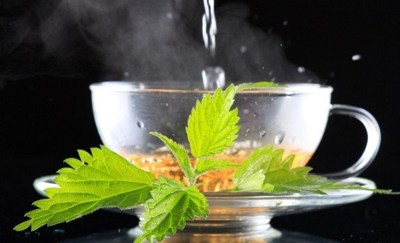 nettle tea