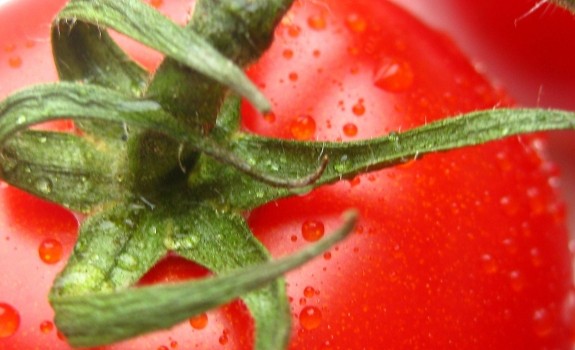 Organic Tomatoes