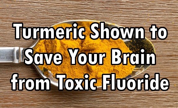 turmeric fluoride