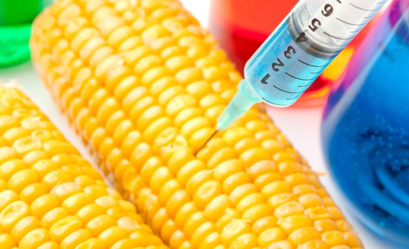 usda-gmo-monsanto