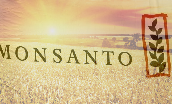 usda-monsanto-wheat-experiment