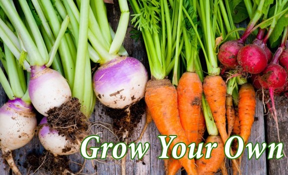 grow vegetables
