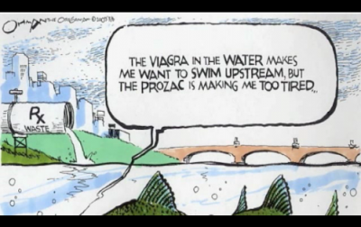 water contaminants