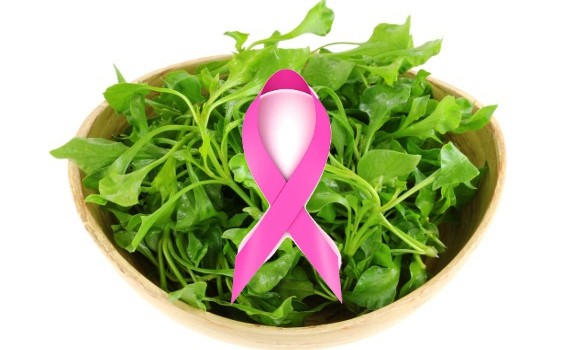 watercress breast cancer