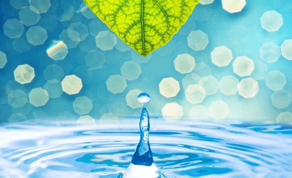 water with leaf